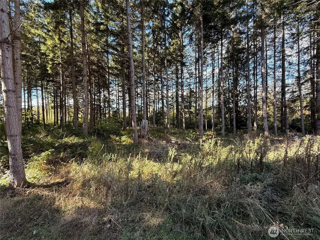 132 Algyer Road SE Rainier WA 98576