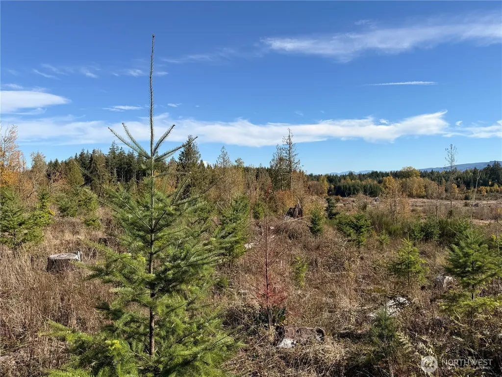 132 Algyer Road SE Rainier WA 98576