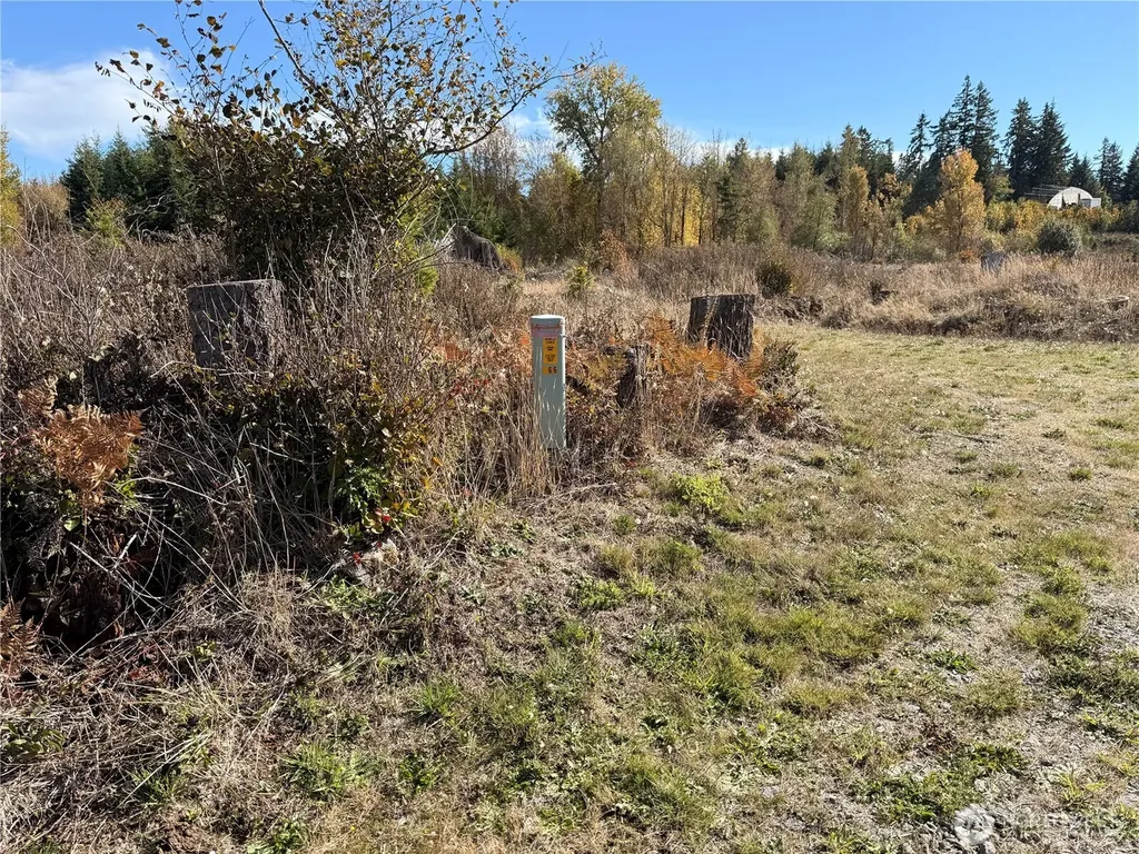 132 Algyer Road SE Rainier WA 98576