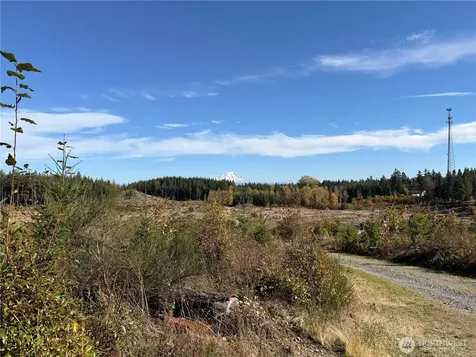 132 Algyer Road SE Rainier WA 98576