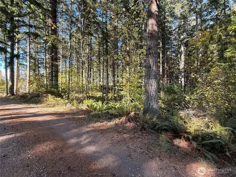 132 Algyer Road SE Rainier WA 98576
