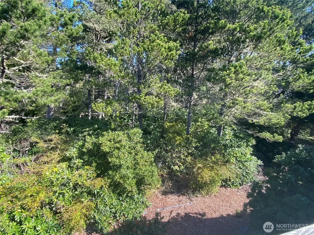 29008 K Lane Ocean Park WA 98640