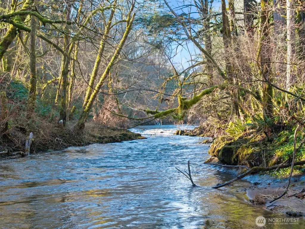 451 Elk Creek Chehalis WA 98532