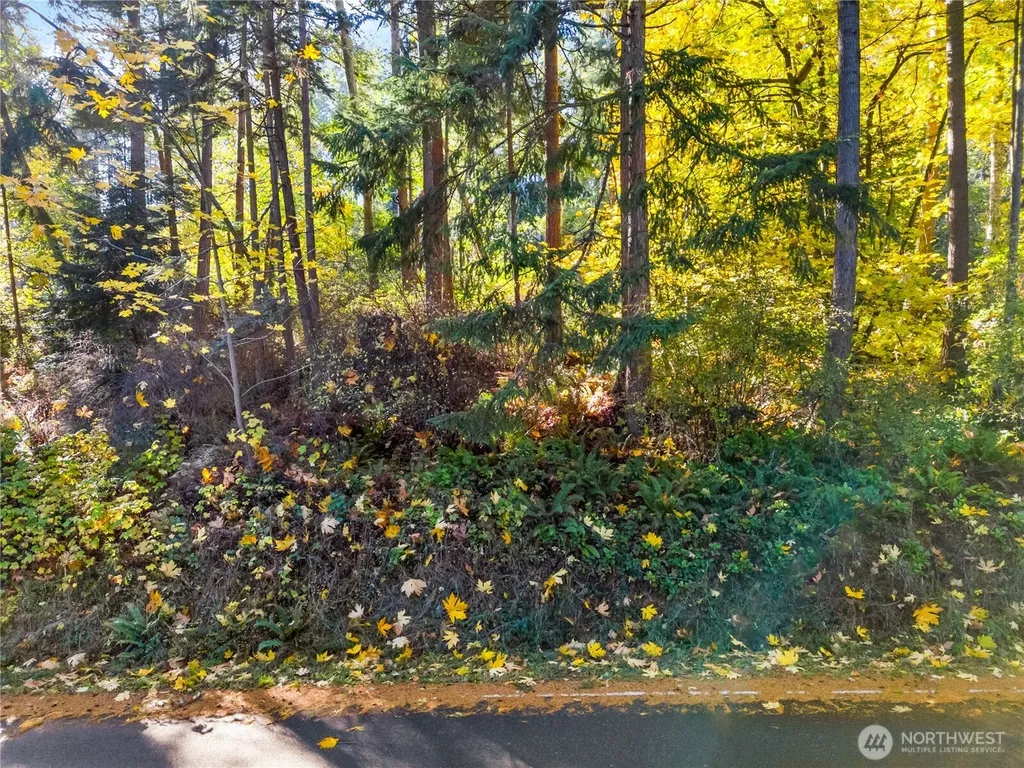 0 Harrington Road Coupeville WA 98239