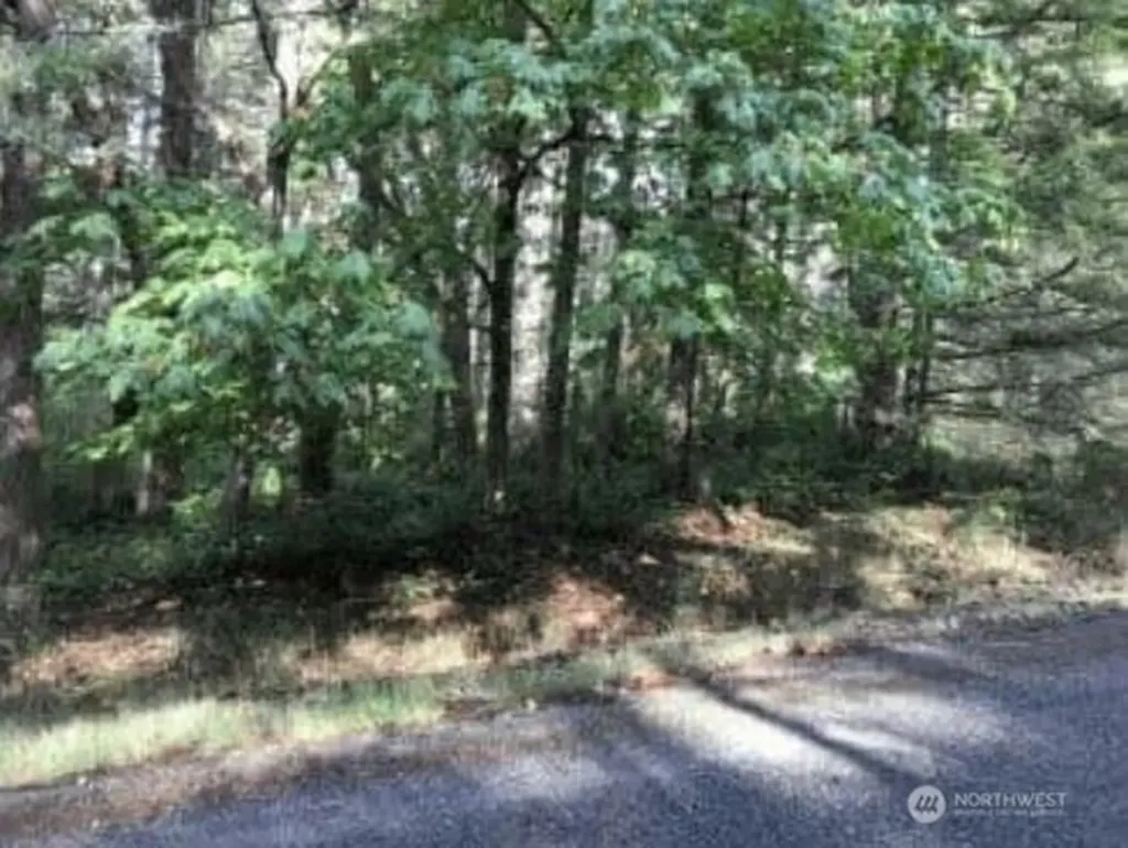 10602 Madrona Drive Anderson Island WA 98303