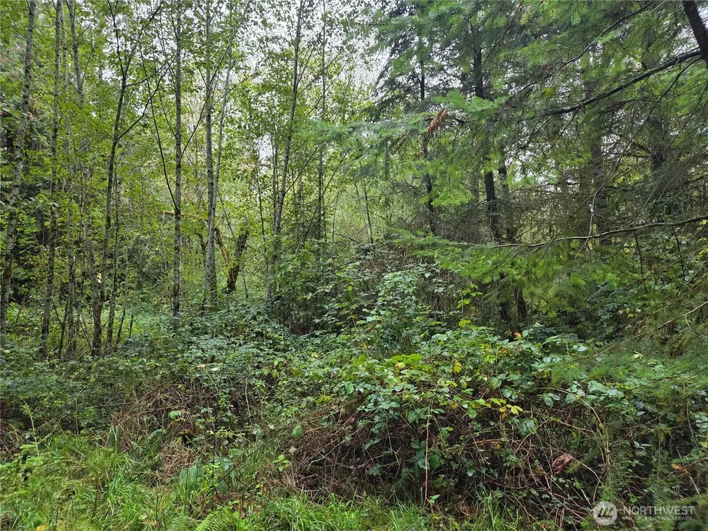 8721 Salty Drive NW Olympia WA 98502