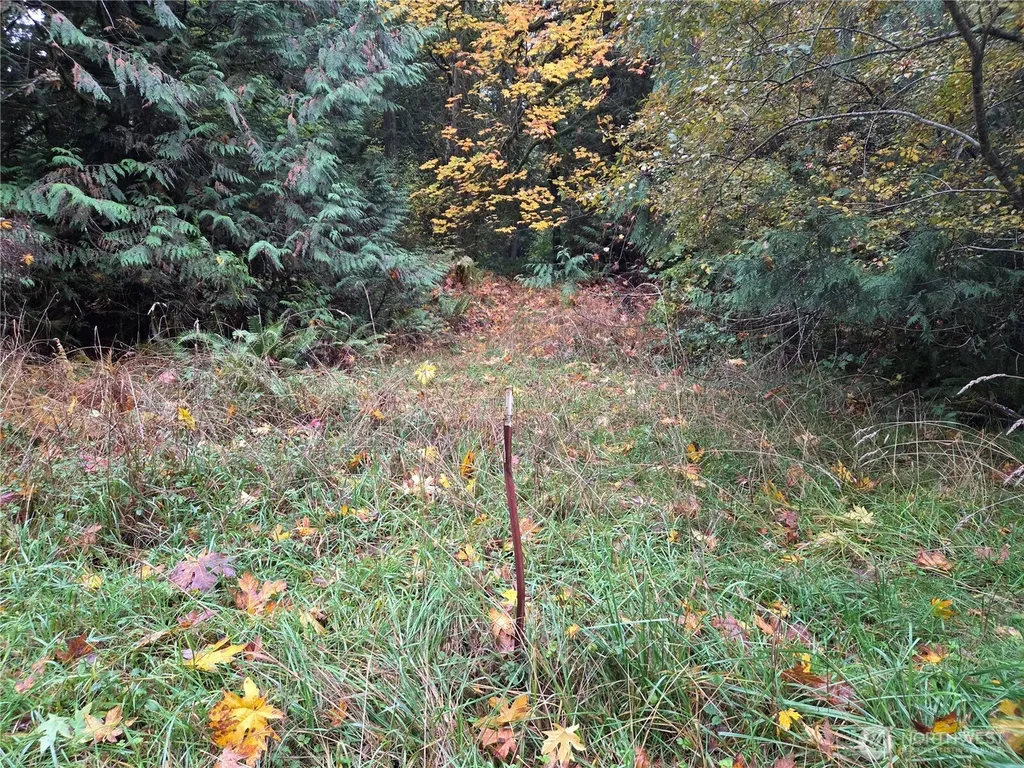 8721 Salty Drive NW Olympia WA 98502