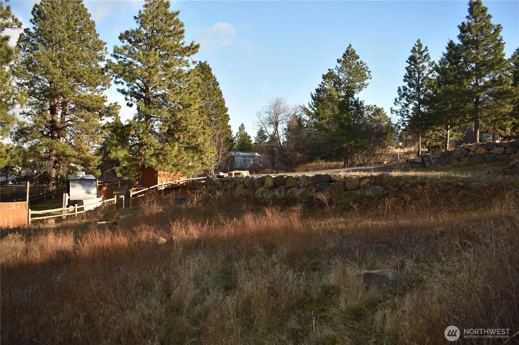 0 Morrison Canyon Lane Cle Elum WA 98922