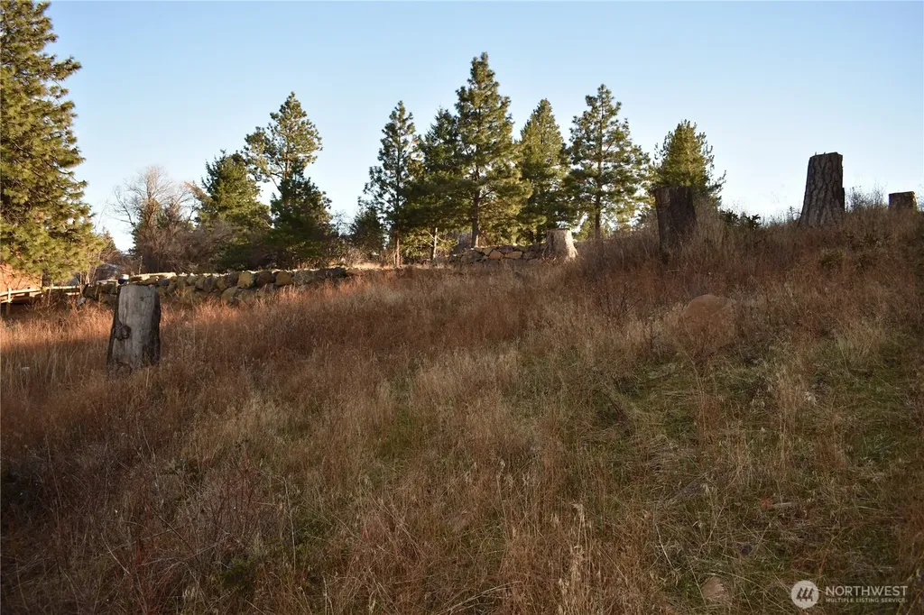 241 Morrison Canyon Lane Cle Elum WA 98922
