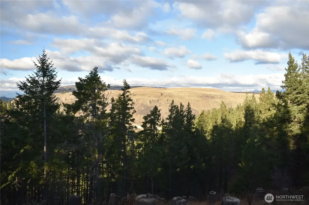 241 Morrison Canyon Lane Cle Elum WA 98922