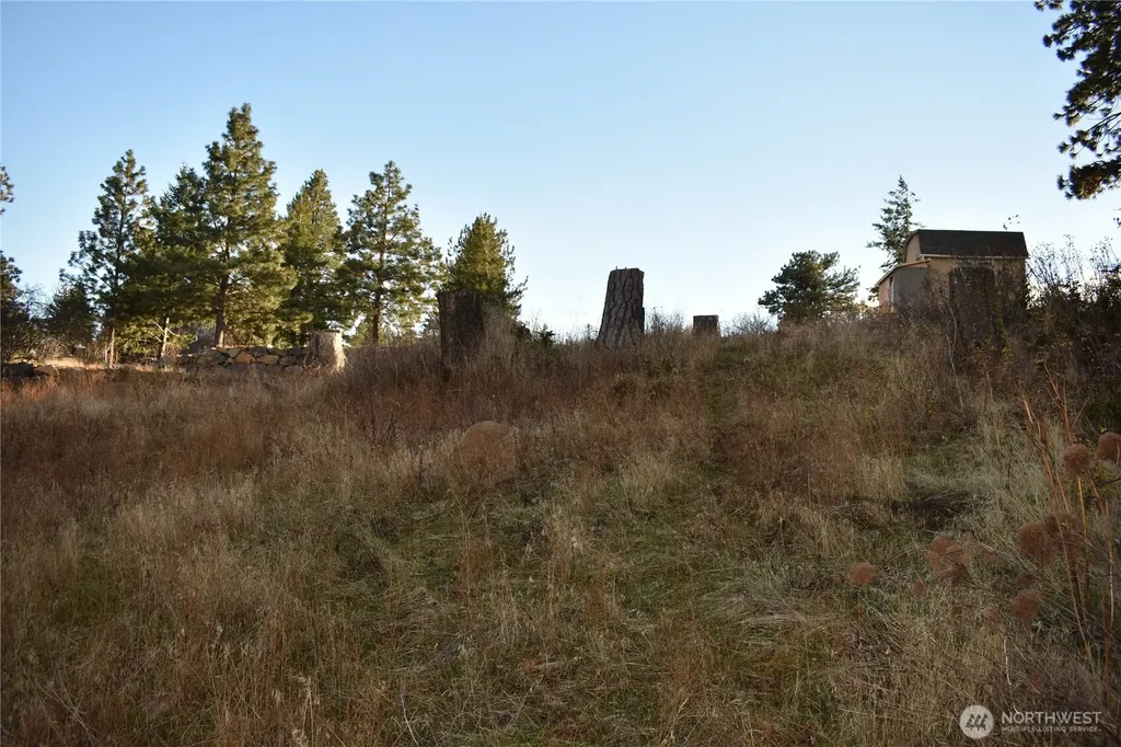 241 Morrison Canyon Lane Cle Elum WA 98922