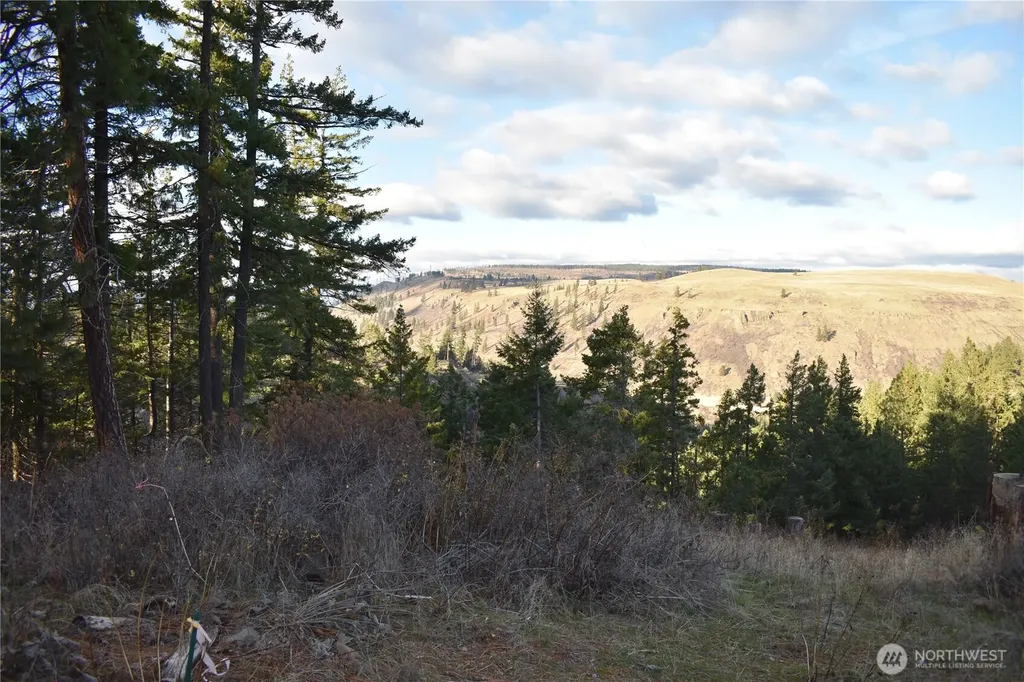 241 Morrison Canyon Lane Cle Elum WA 98922