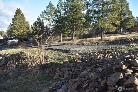 241 Morrison Canyon Lane Cle Elum WA 98922
