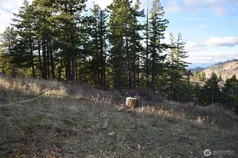 241 Morrison Canyon Lane Cle Elum WA 98922