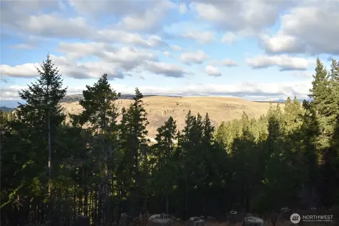 241 Morrison Canyon Lane Cle Elum WA 98922