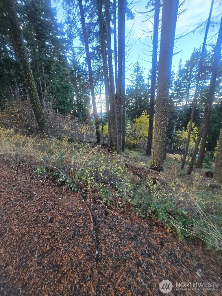 680 Horse Heaven Road Cle Elum WA 98922
