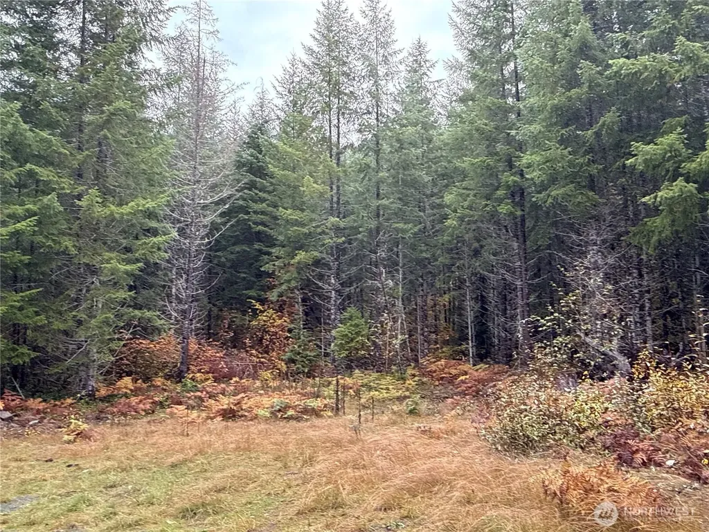4 Forest Road 52 Packwood WA 99338