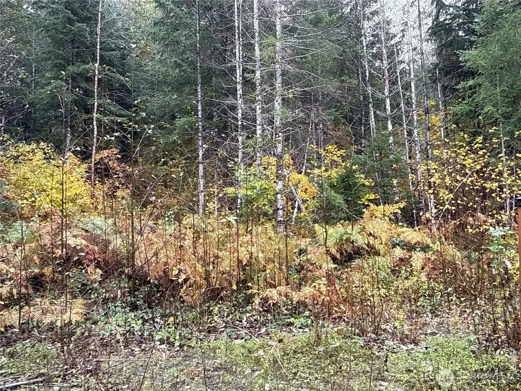 4 Forest Road 52 Packwood WA 99338