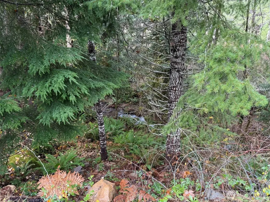 4 Forest Road 52 Packwood WA 99338