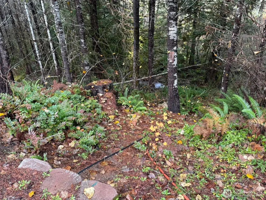 4 Forest Road 52 Packwood WA 99338