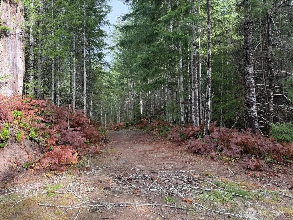 4 Forest Road 52 Packwood WA 99338