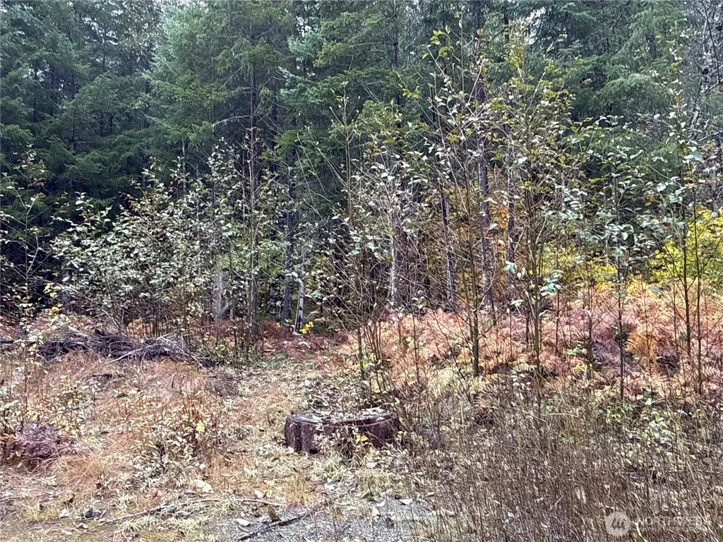 4 Forest Road 52 Packwood WA 99338