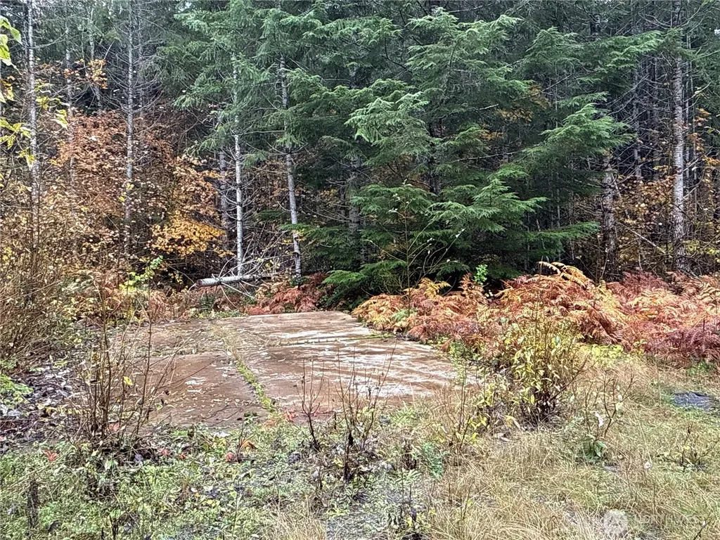 4 Forest Road 52 Packwood WA 99338