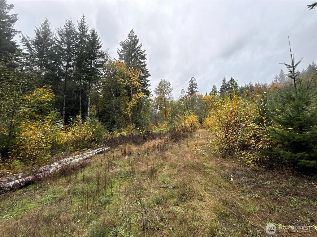 4 Forest Road 52 Packwood WA 99338