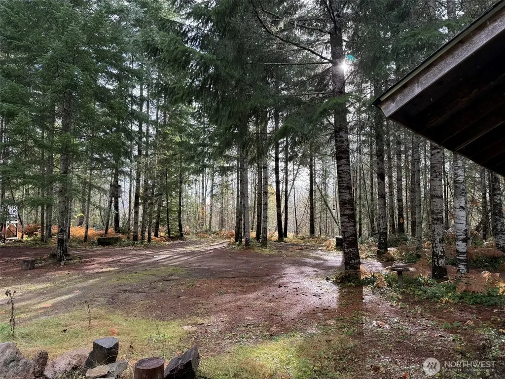 4 Forest Road 52 Packwood WA 99338