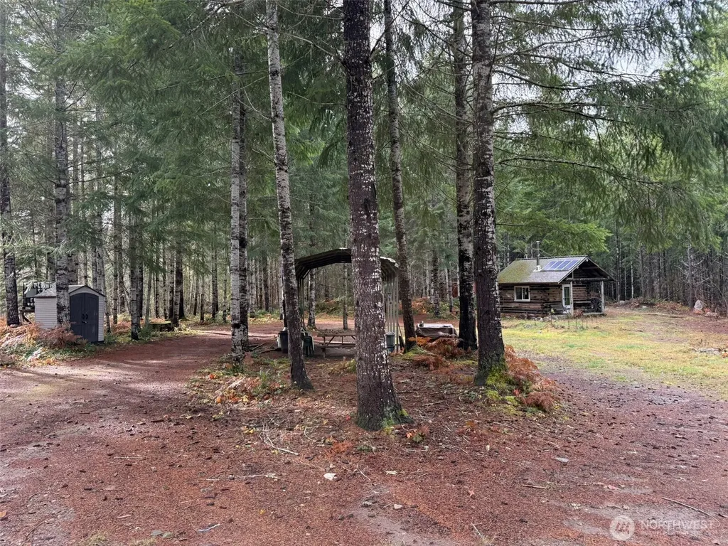 4 Forest Road 52 Packwood WA 99338