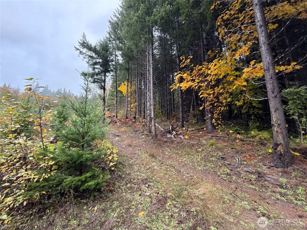 4 Forest Road 52 Packwood WA 99338