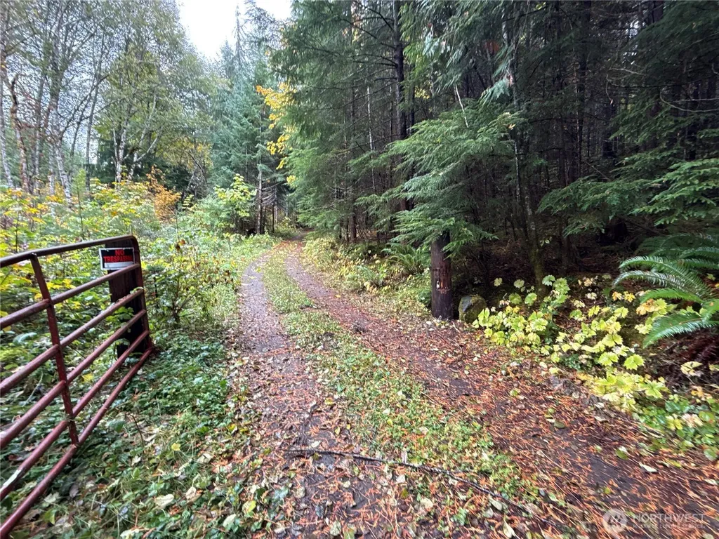 4 Forest Road 52 Packwood WA 99338
