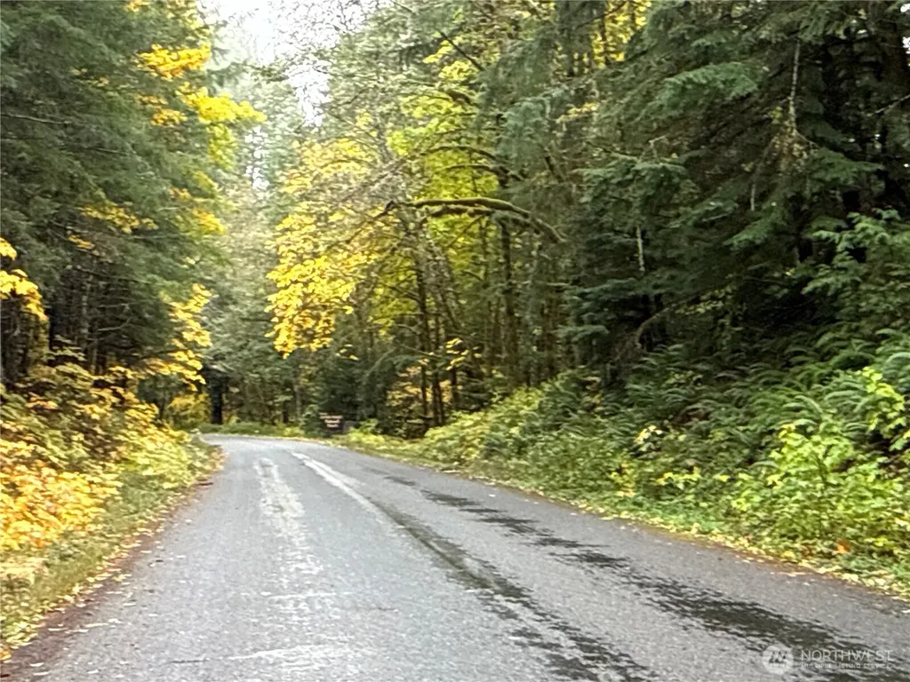 4 Forest Road 52 Packwood WA 99338
