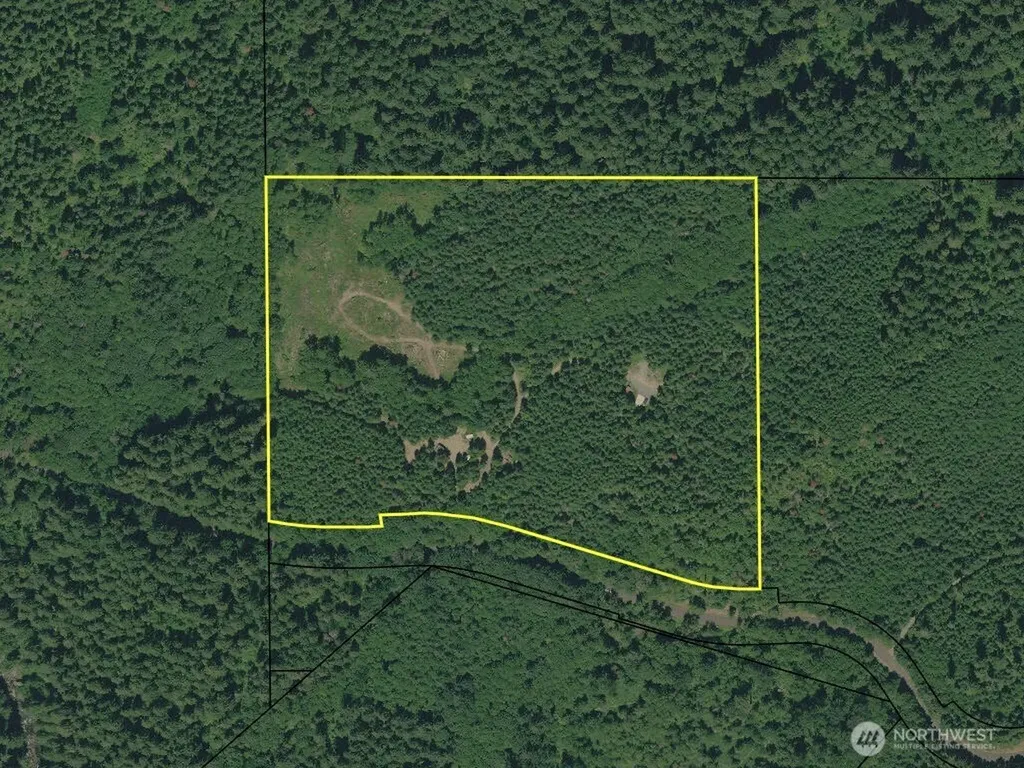 4 Forest Road 52 Packwood WA 99338