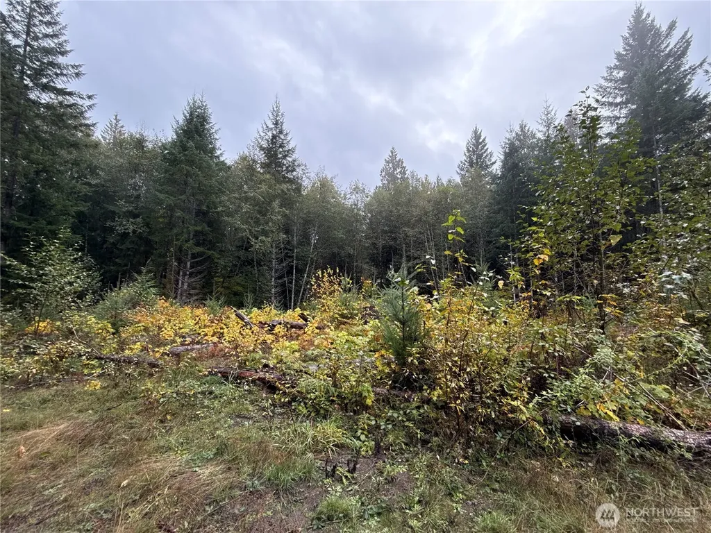 4 Forest Road 52 Packwood WA 99338