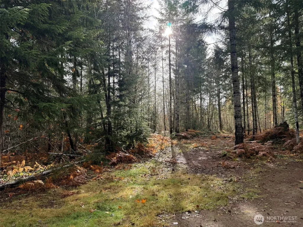 4 Forest Road 52 Packwood WA 99338