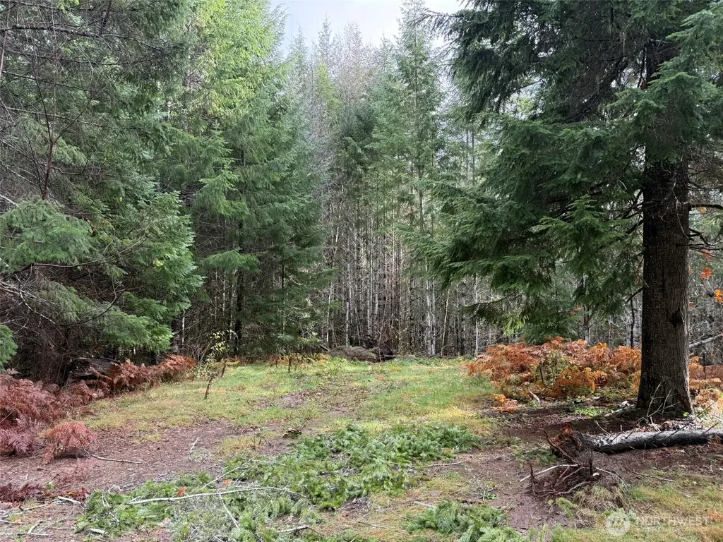 4 Forest Road 52 Packwood WA 99338