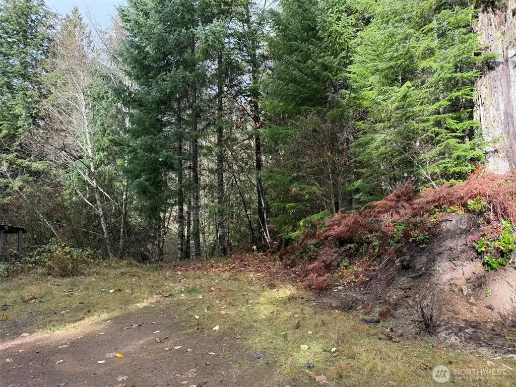 4 Forest Road 52 Packwood WA 99338