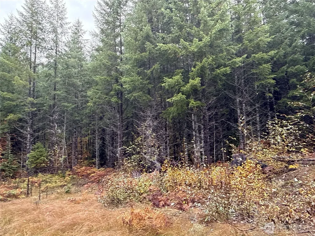 4 Forest Road 52 Packwood WA 99338