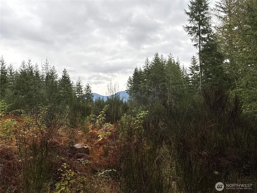 2 Forest Road 52 Packwood WA 98361