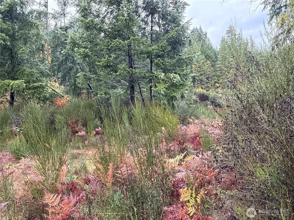 2 Forest Road 52 Packwood WA 98361