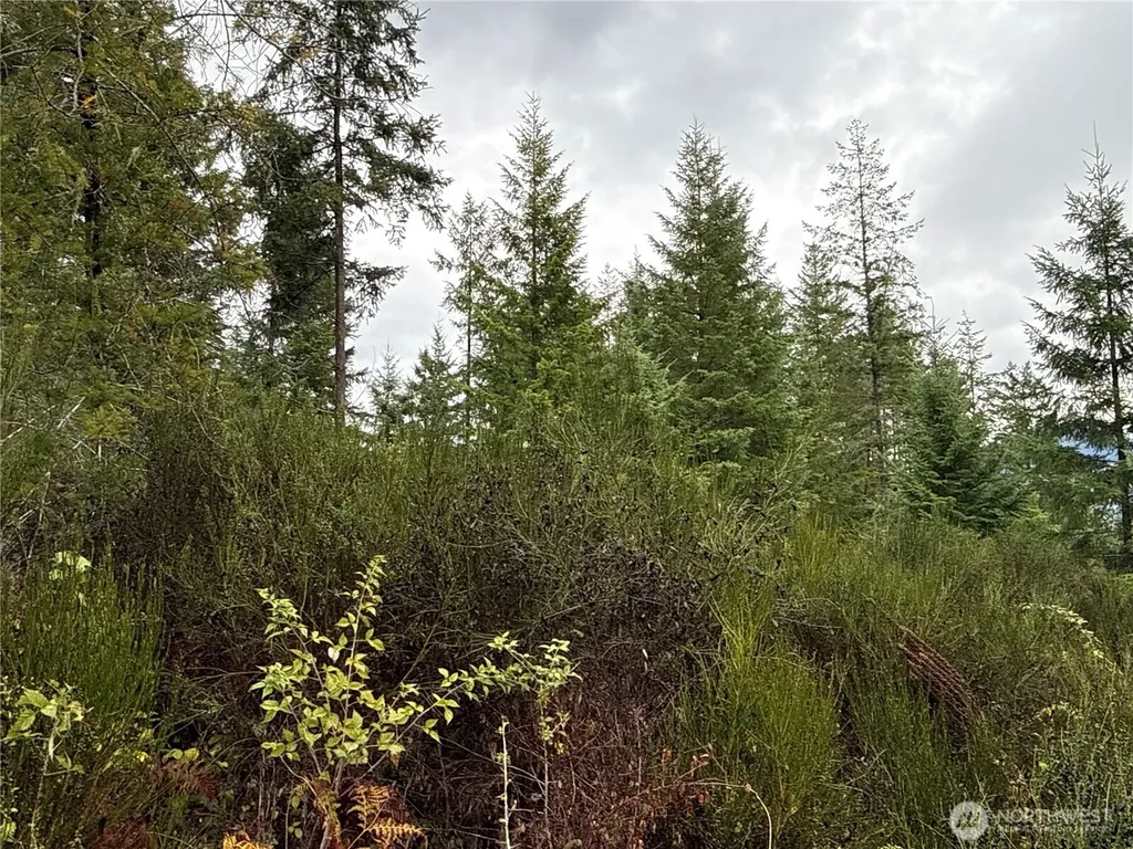 2 Forest Road 52 Packwood WA 98361