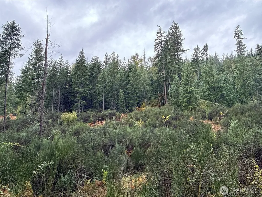 2 Forest Road 52 Packwood WA 98361
