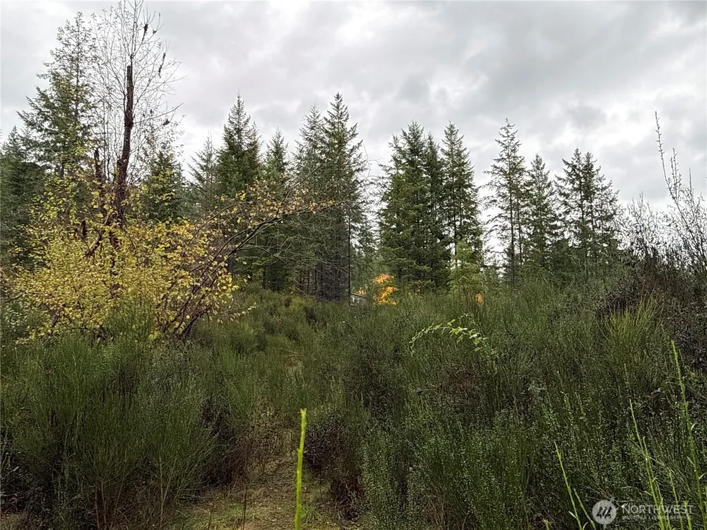2 Forest Road 52 Packwood WA 98361