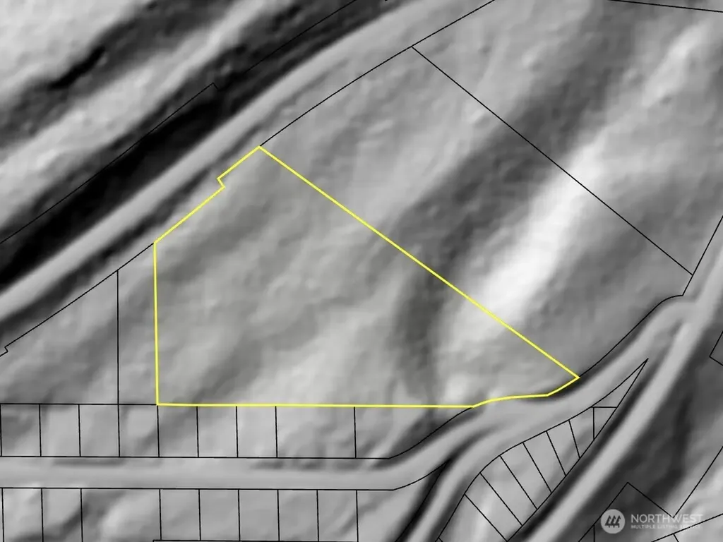 2 Forest Road 52 Packwood WA 98361