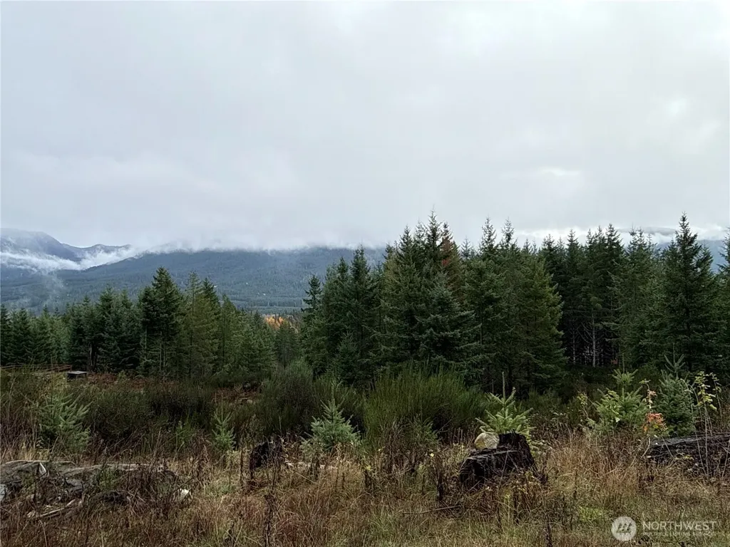 2 Forest Road 52 Packwood WA 98361