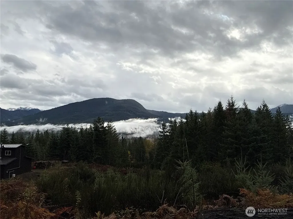 2 Forest Road 52 Packwood WA 98361