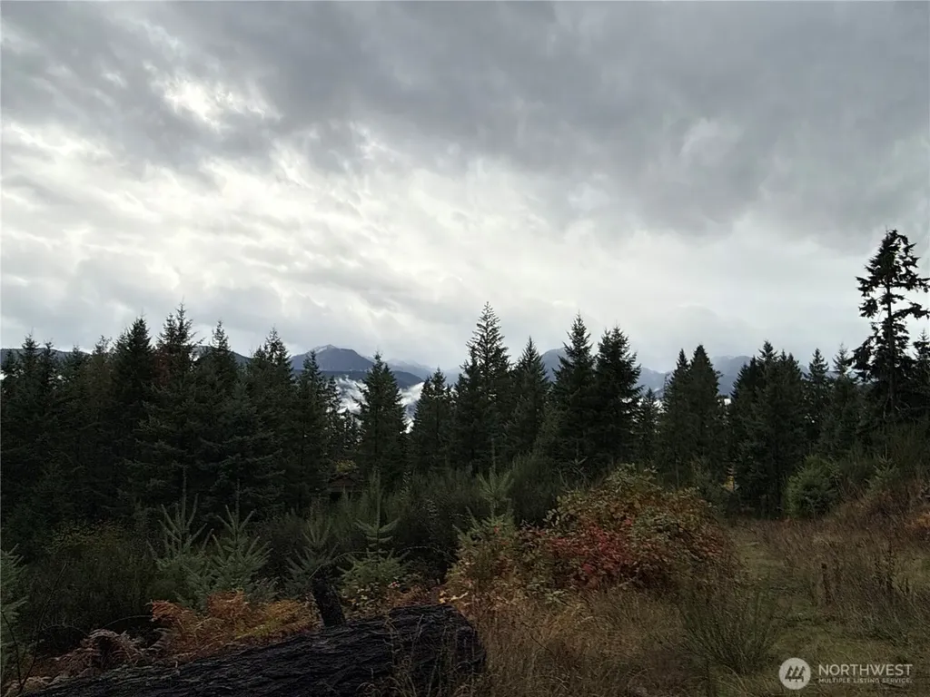 2 Forest Road 52 Packwood WA 98361