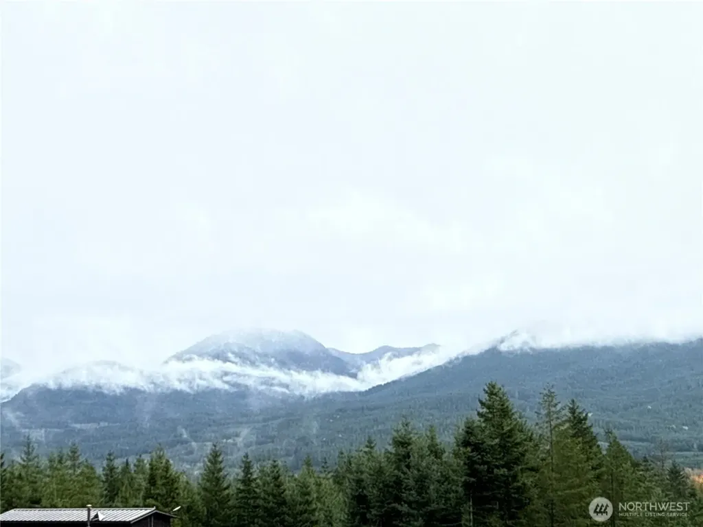2 Forest Road 52 Packwood WA 98361