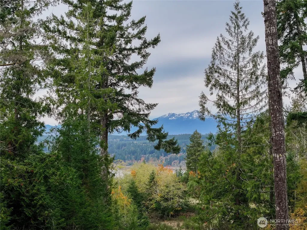 541 NE Squire Lane Belfair WA 98528